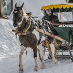 photos profil membre