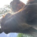 photos profil membre