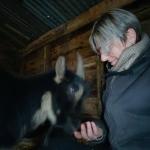 photos profil membre