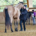 photos profil membre