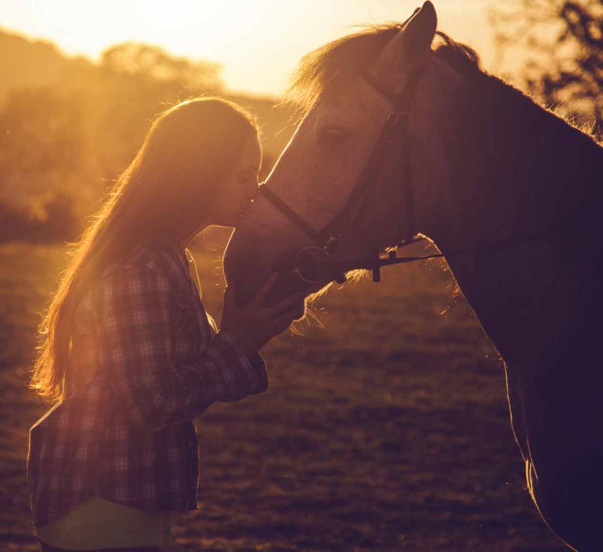 Une femme brossant un cheval