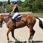 photos profil membre