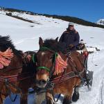 photos profil membre