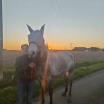 photos profil membre