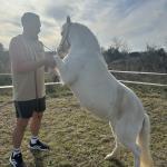 photos profil membre